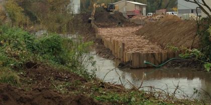 Hochwasserschutz und ökologische Verbesserung der Bega, 3. BA - 
